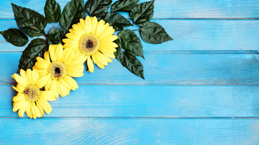1540488 (a): :2560x1440